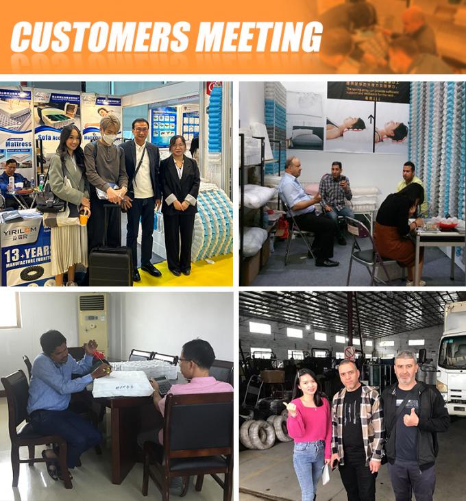 OEM 가구 액세서리 2.0mm 스프링 와이어 종이 고정 와이어 소파 Zig Zag 스프링 8